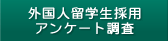 Olw̗pAP[g